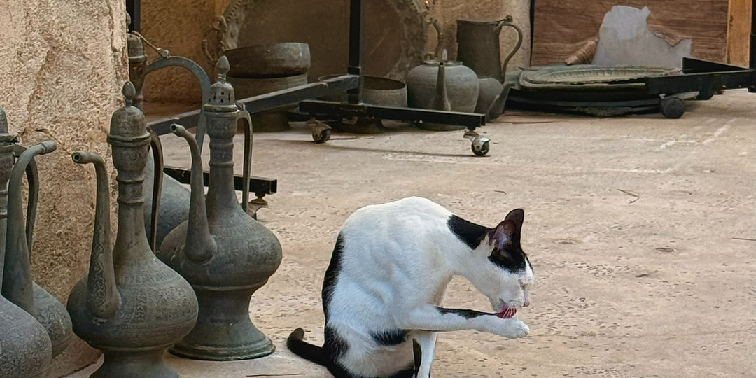 От традиций к современности: Очарование старого Дубая.