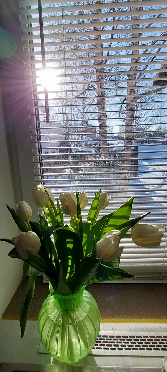 Утро 9 марта.