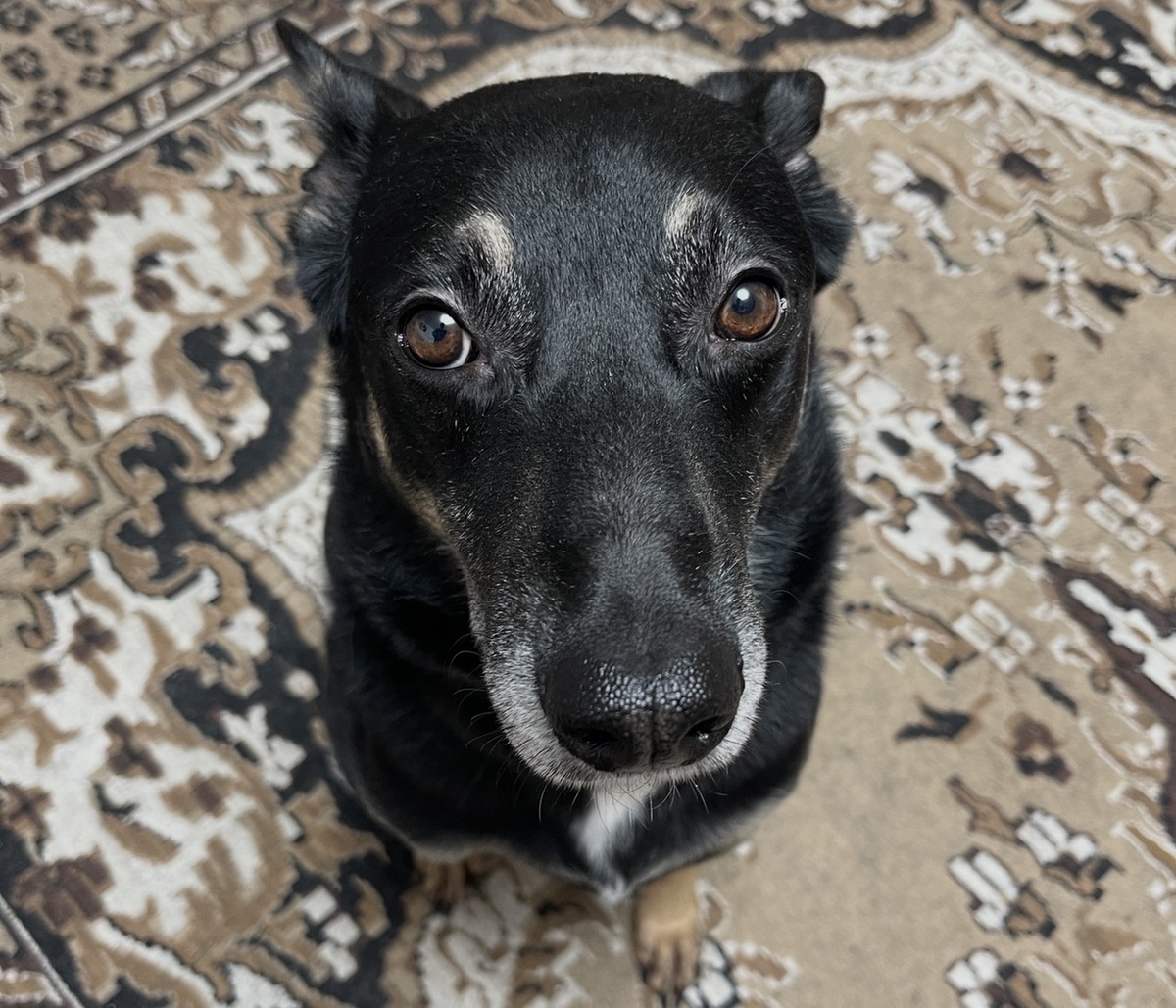 Ну я в реальном шоке, если честно...