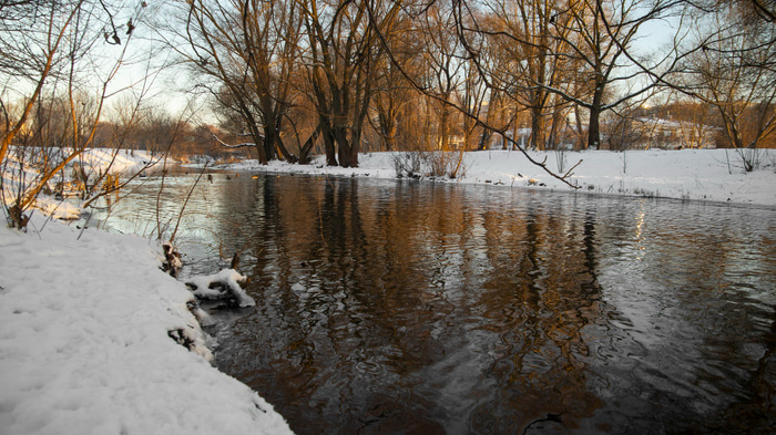    Фото: Freepik.com