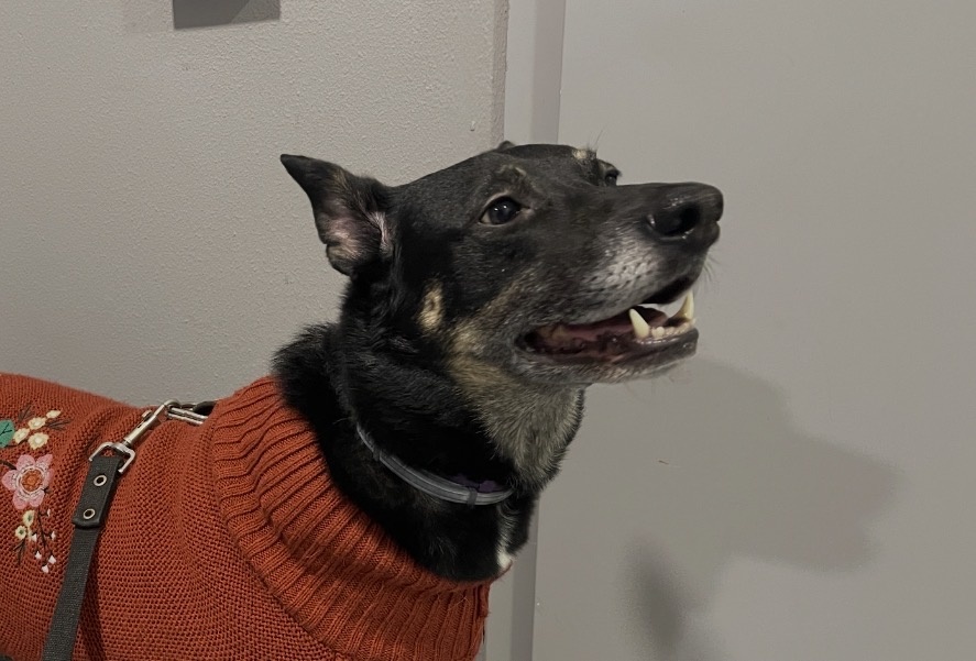 Настолько идеальной, что... Когда буду около дома, буду ходить с такой улыбкой 😃!