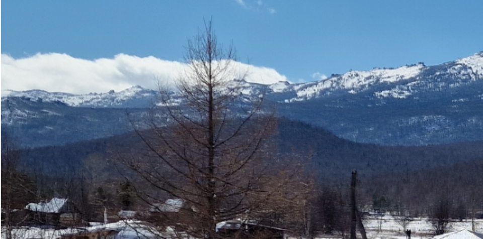    Деревня Кутурчин. Источник: "2Гис"