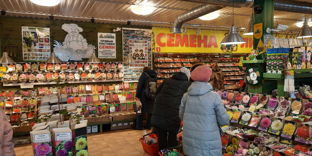 Девяткино - 2, не вынесла душа поэта весенней почесухи