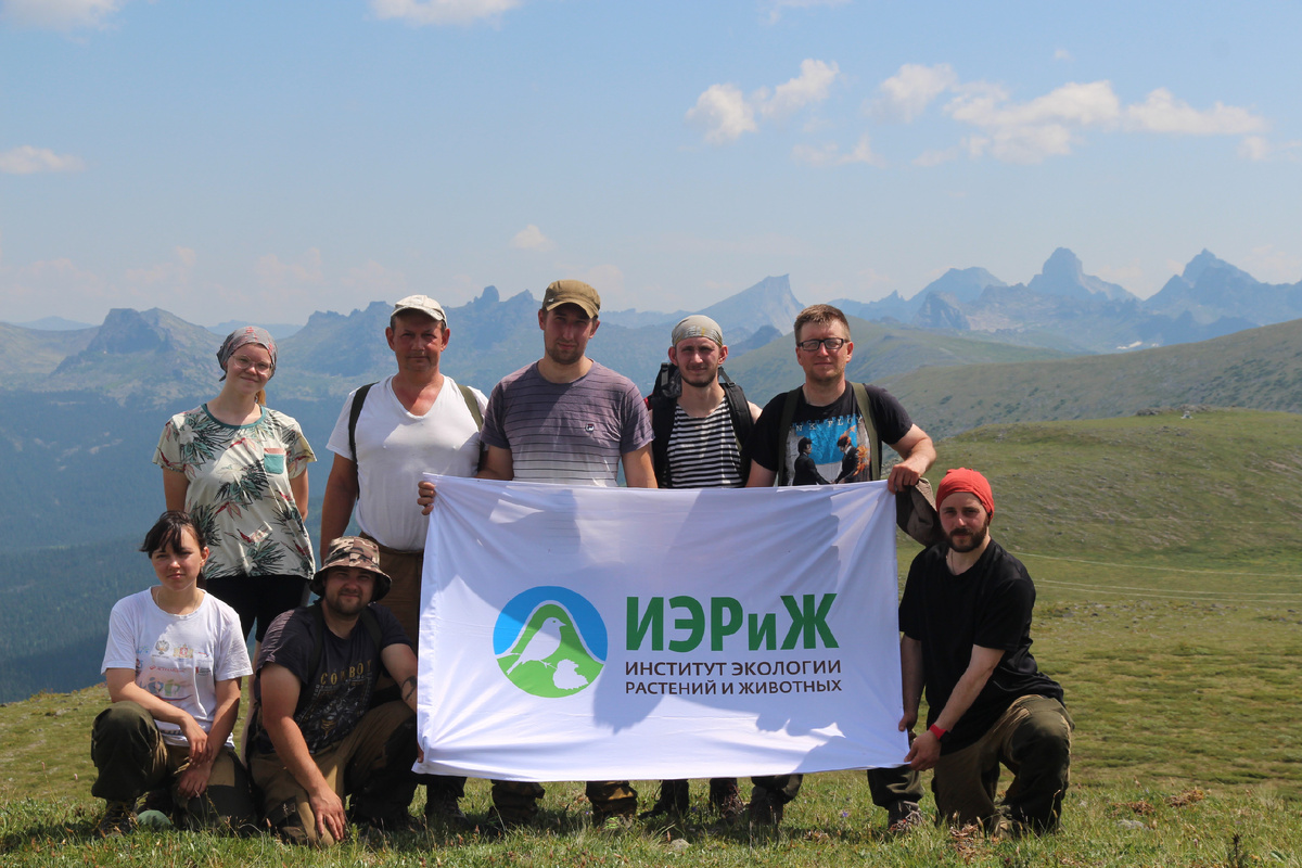 Авторы исследования. Источник: Павел Моисеев / Из личного архива