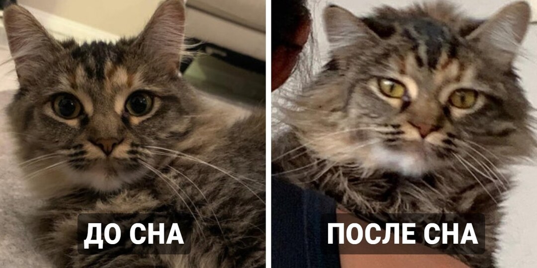 18 любопытных фотографий, которые показывают, как различные процессы разделяют всё на до и после