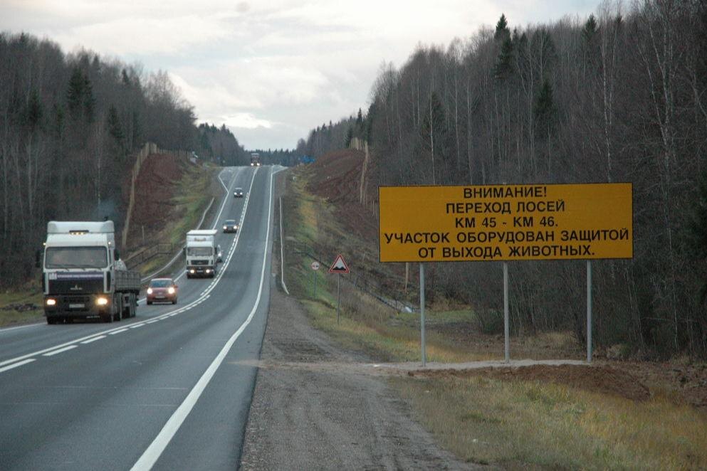     фото: Росавтодор / rosavtodor.gov.ru