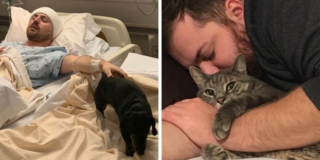 16 котов и собак, которые умиляют и восхищают своей преданностью и готовностью помочь