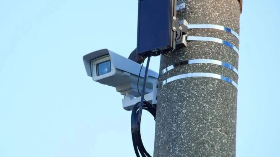    Фото: Dmitrii_Miki / Shutterstock / Fotodom