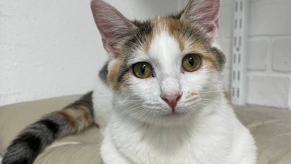 Почему-то решение о том, кому жить, а кому умирать неминуемо упирается в денежный вопрос...