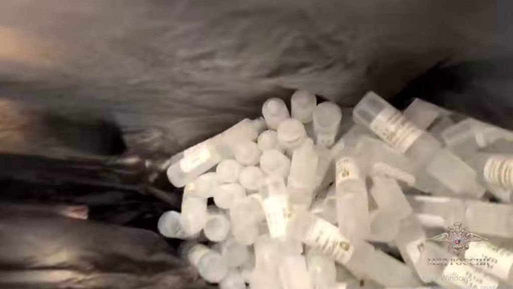    Скрин с видео ГУ МВД России по РО. Газета "Земля"