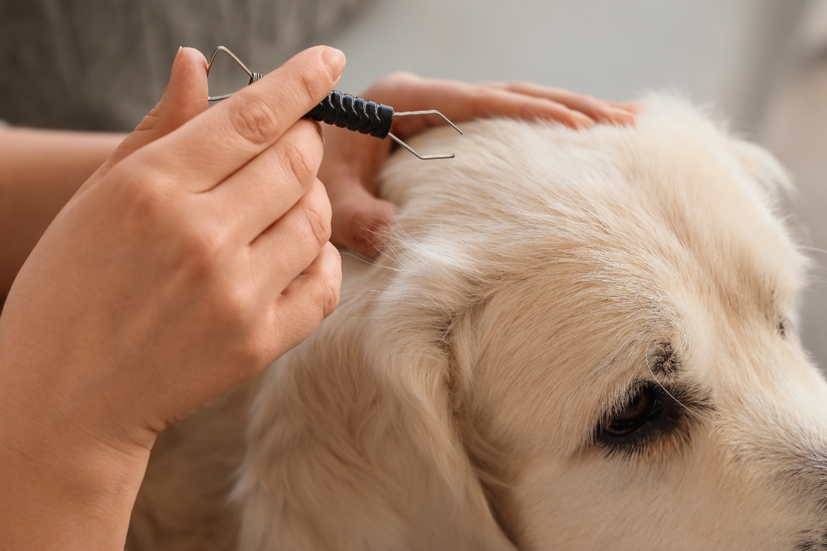 Фото: Shutterstock