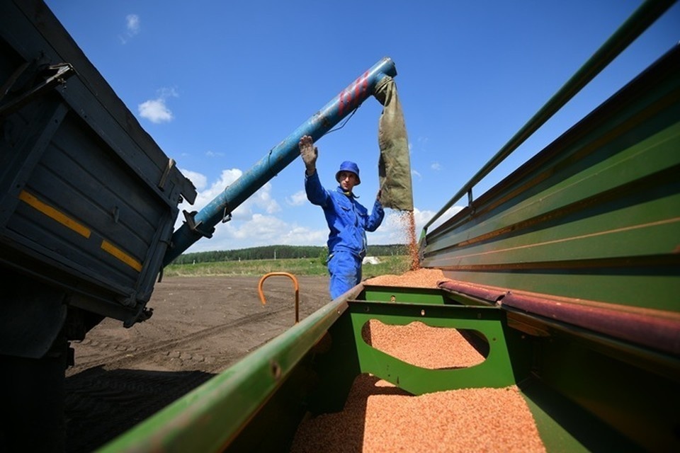    В ДНР готовятся запустить 10 новых масштабных проектов в сельском хозяйстве Алексей БУЛАТОВ