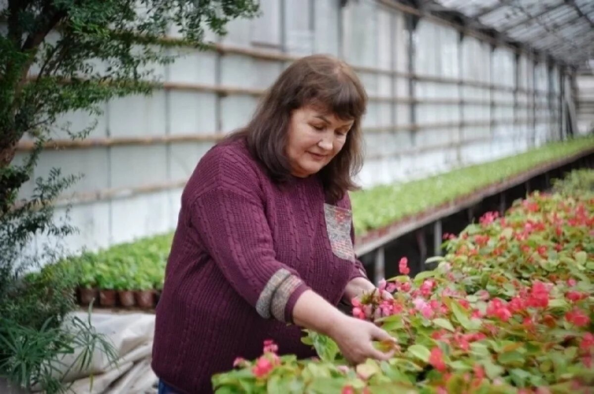    Южные секреты.