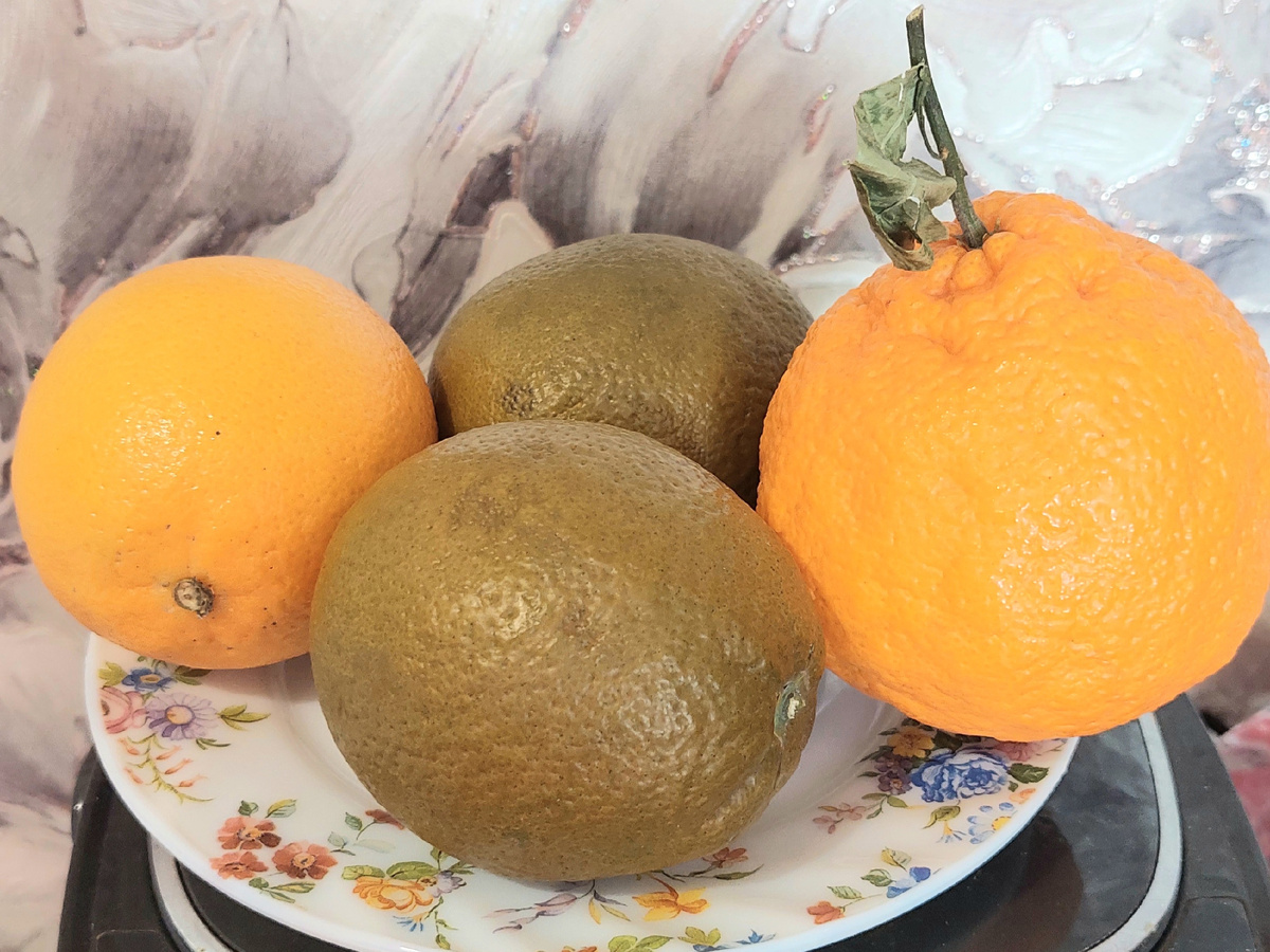 Мой натюрморт!