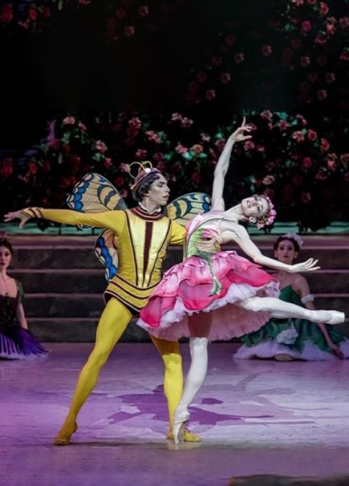 Сцена из балета "Роман Бутона розы", изображение из открытых источников Яндекса