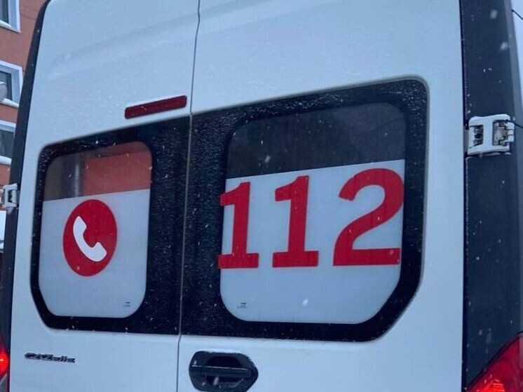   Елена Полякова