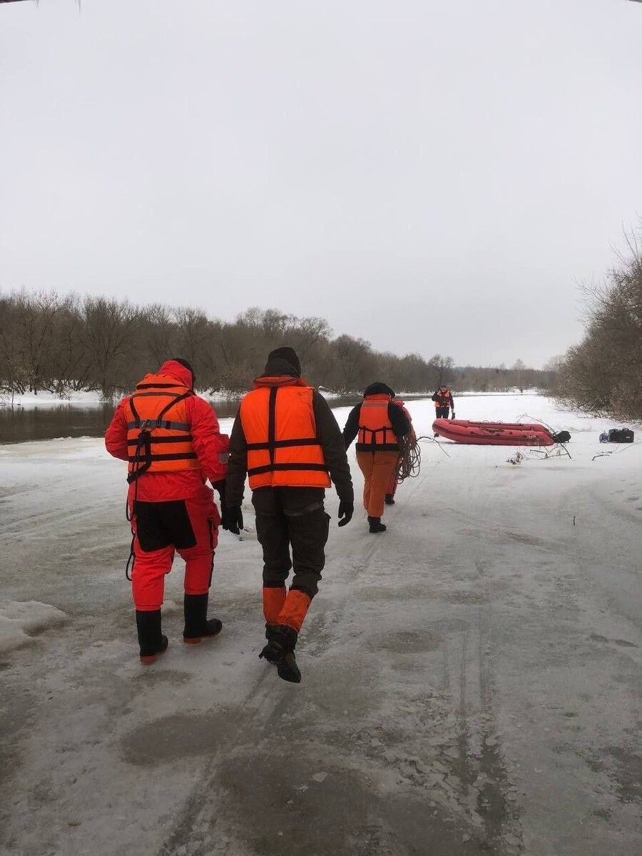    Поиски детей в Звенигороде. Источник: "ЛизаАлерт"