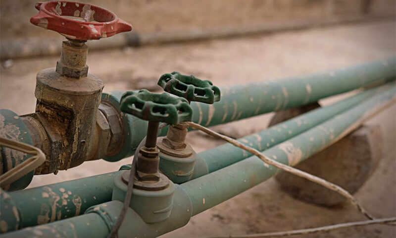    Фото unsplash.com