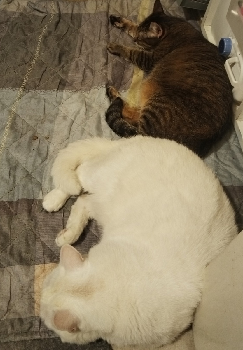 А мы дрыхнем и даже не подозреваем о будущих переменах