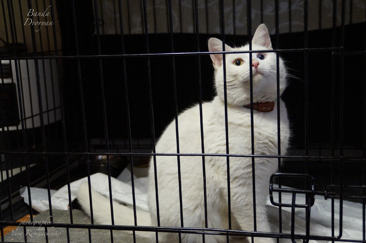 Вот таким меня приперда домой Наташка