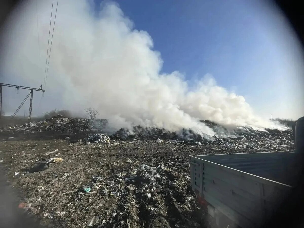    Фото: ТГ-канал Антонины Пшеничной