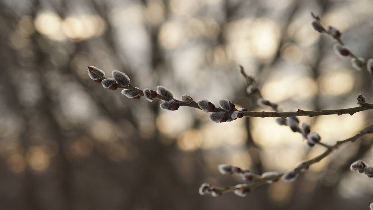    Фото: Анатолий Цымбалюк / Вечерняя Москва