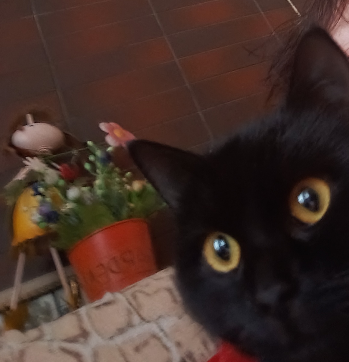 Первое фото дома. 