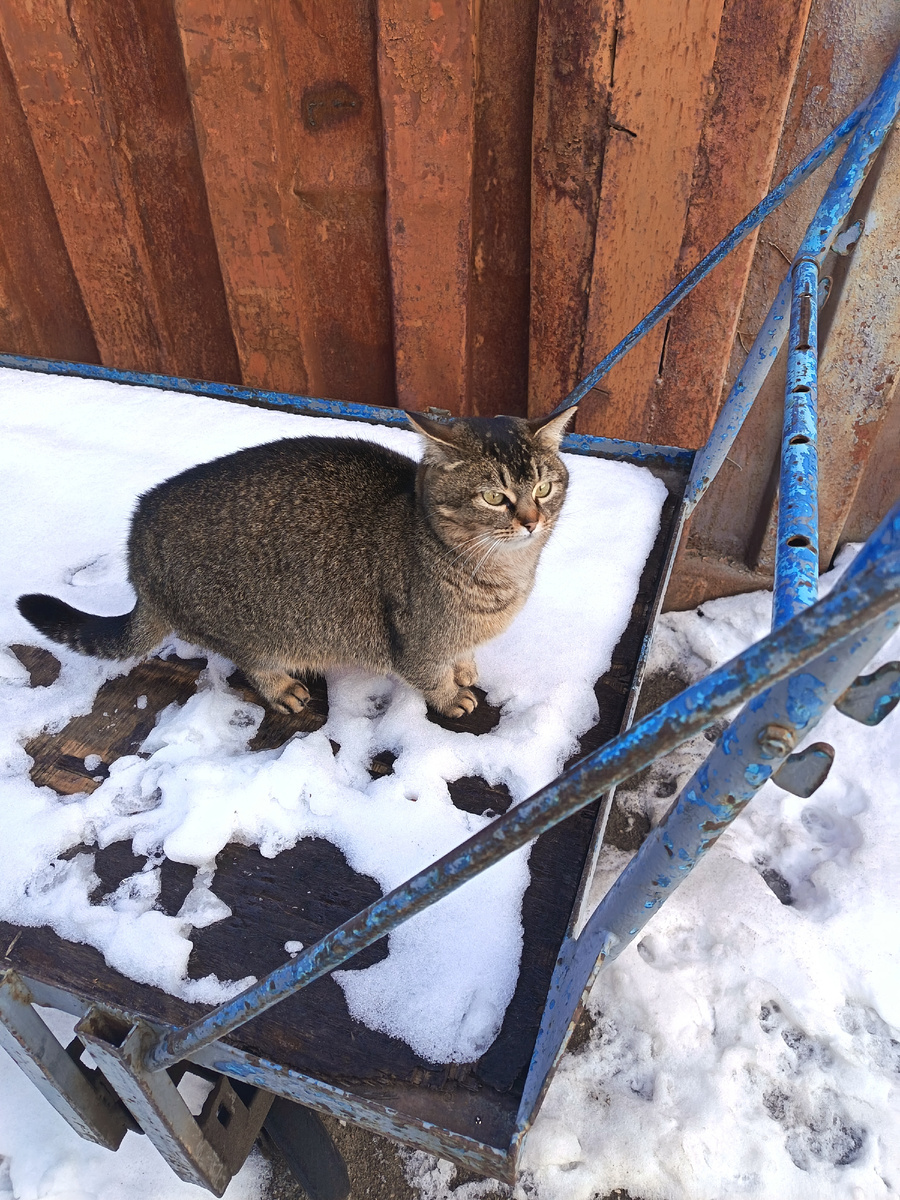 Вот это мама Малышки- Ксюша