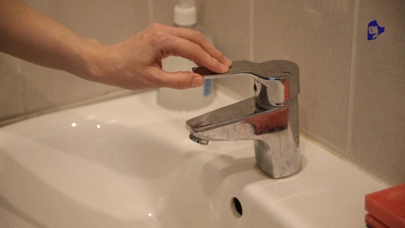      Фото: Дмитрий Ахмадуллин / / ИА «Победа26»