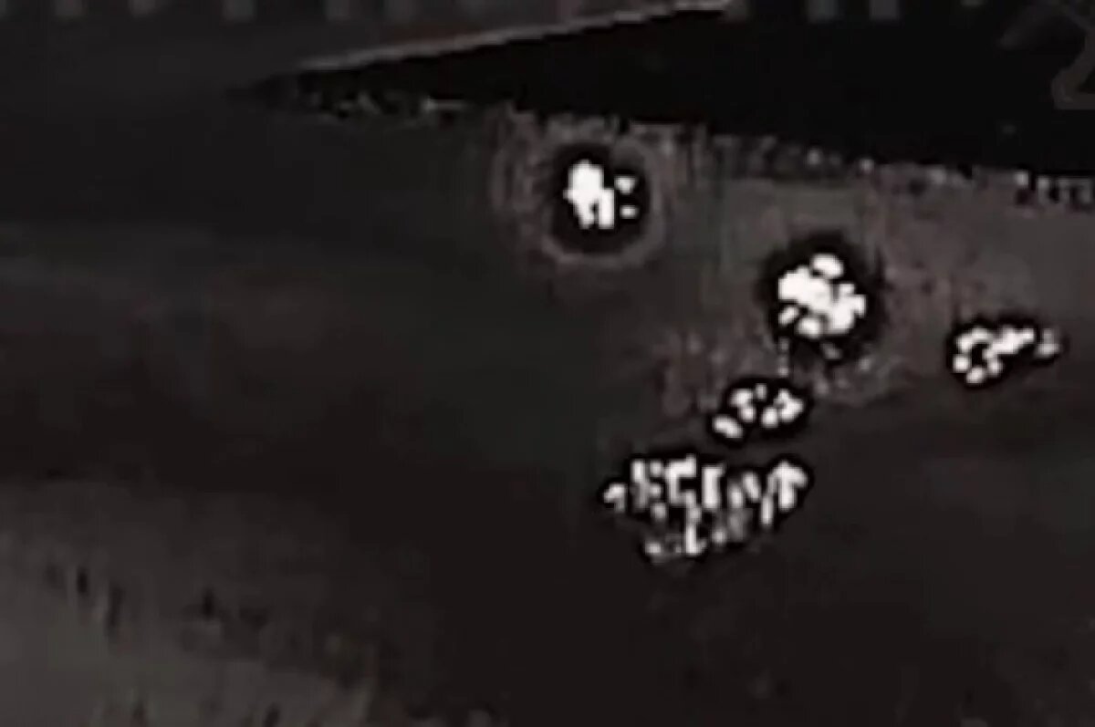    «Солнцепеки» испепелили позиции ВСУ в лесу под Волчанском