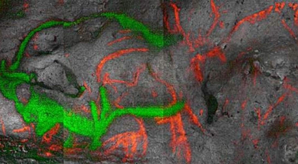   Ina Reiche et al. / Proceedings of the National Academy of Sciences, 2026