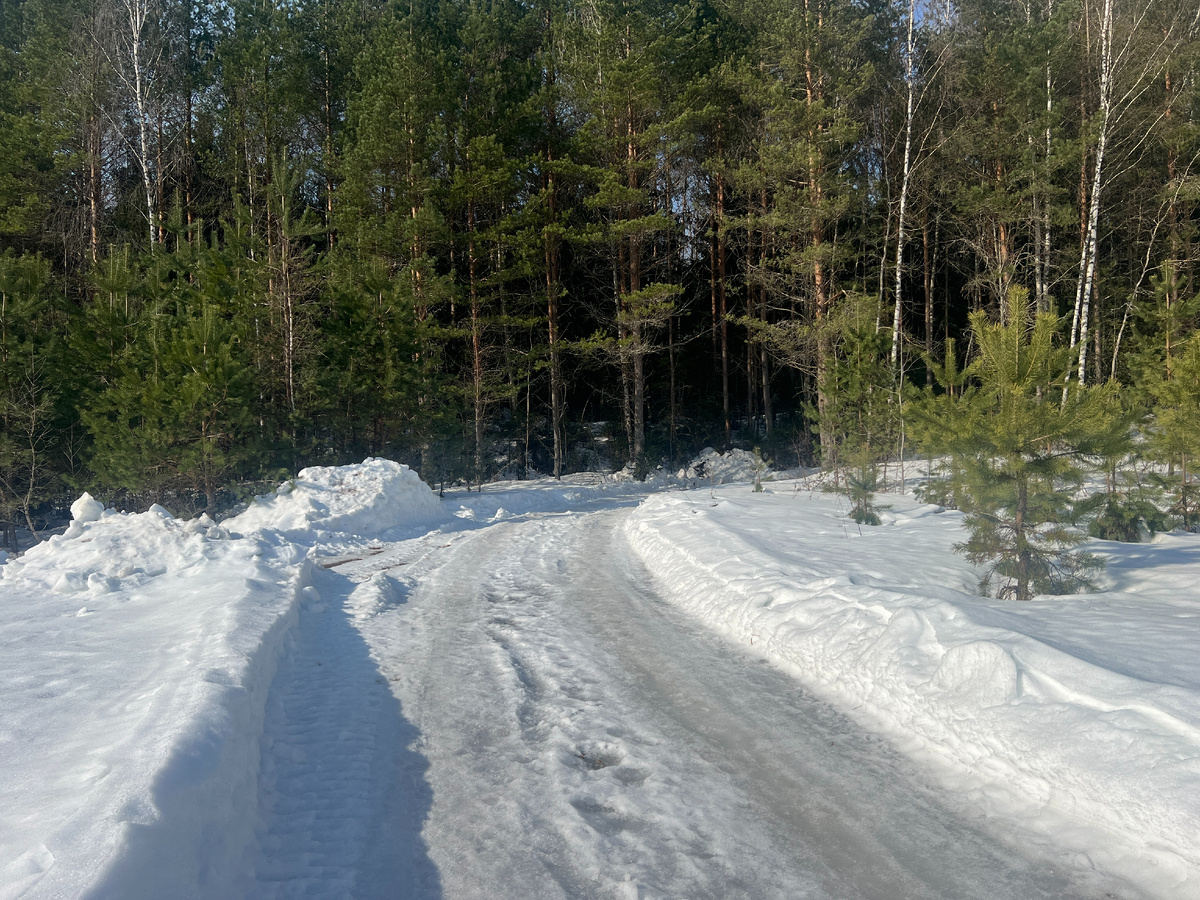 Фото автора 11.03.26