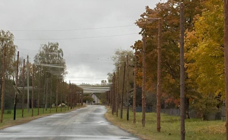    Фото: gazeta-suzemka.ru