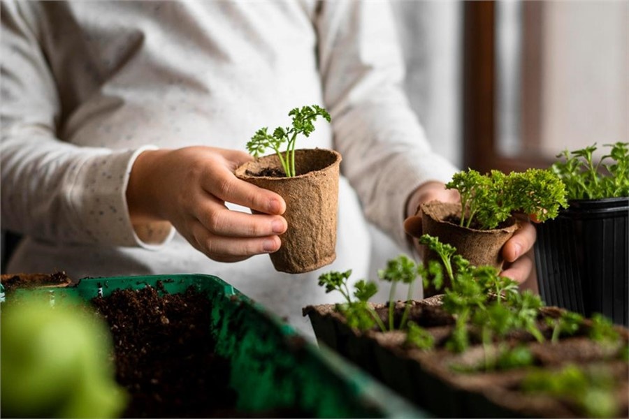 Фото: freepik.com