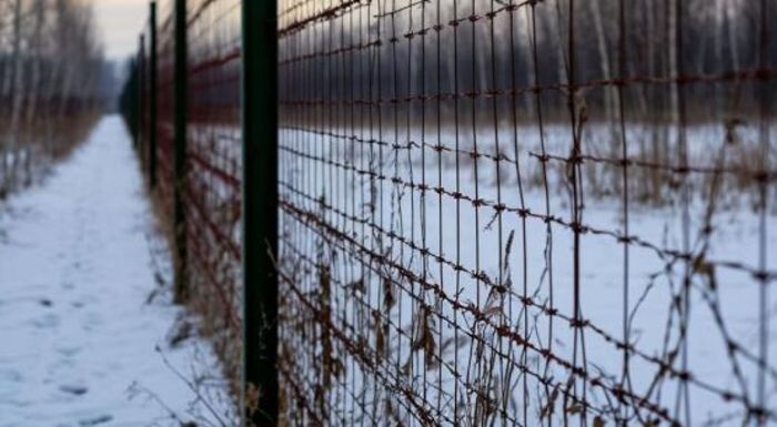 Иллюстрация: сгенерировано нейросетью