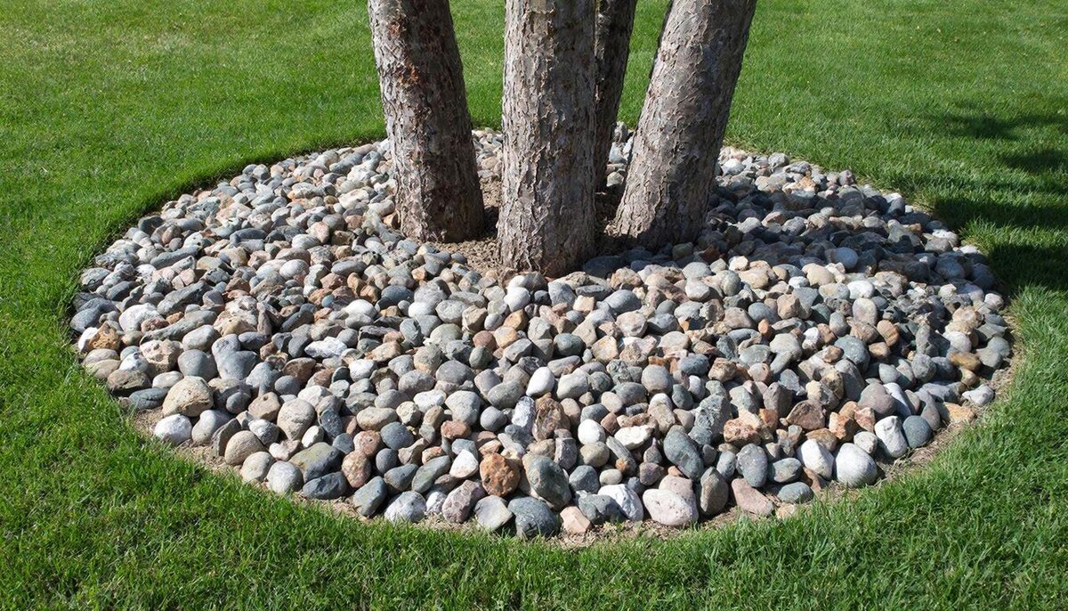 Отсыпка прикорневой зоны деревьев декоративными камнями