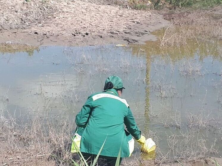   пресс-служба Росприроднадзора