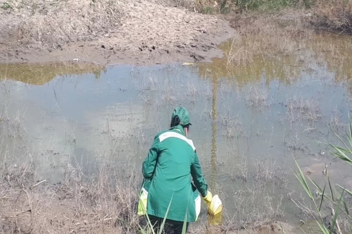    В Астрахани через суд взыскали более двух млн рублей за загрязнение почвы