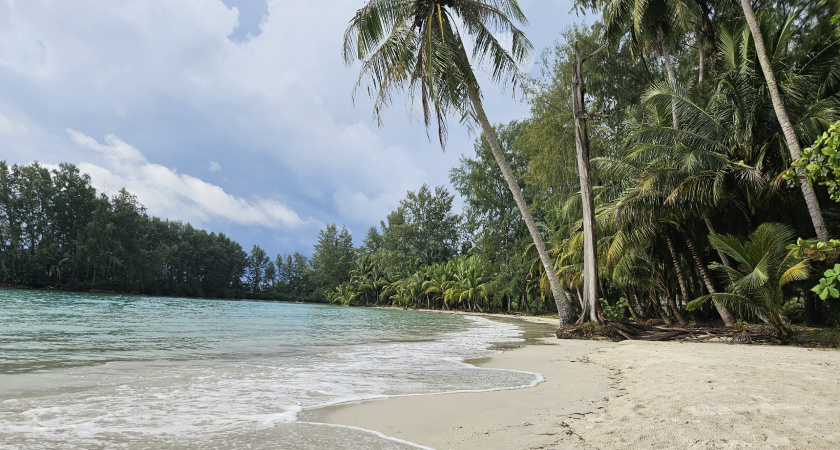    Автор фото - Анна Ефимова