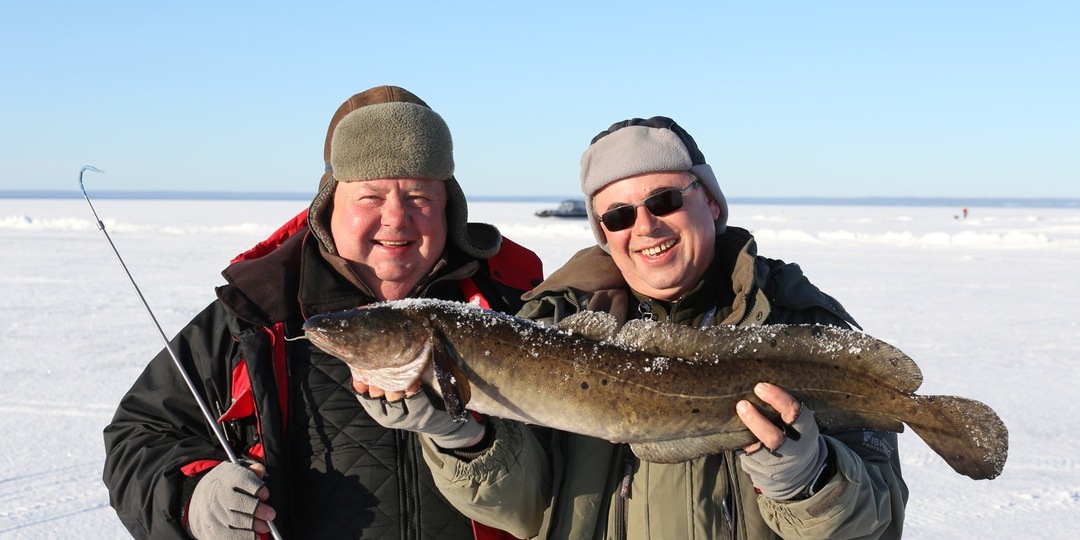 Активная ловля налима весной