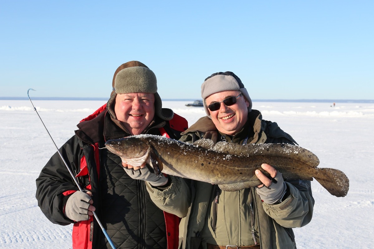 фото: Андрей Спирин