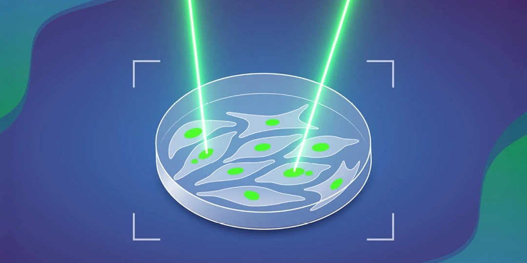 ИИ проверил столетнюю теорию о том, как начинается рак