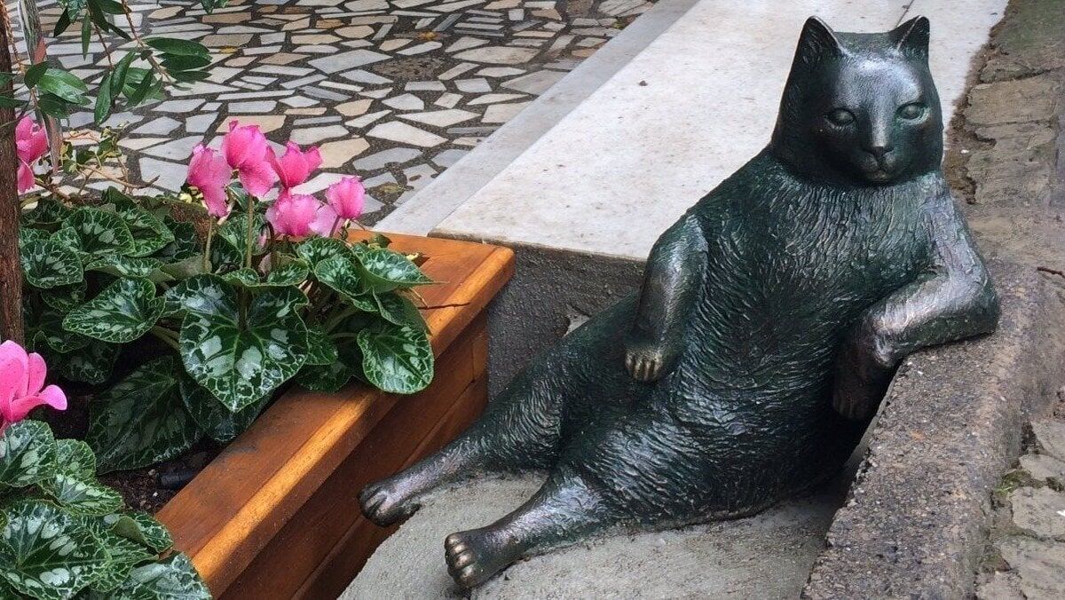 Памятник кошке Томбили в Стамбуле