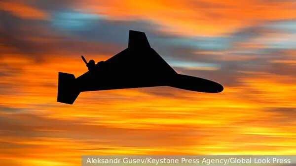    Источник: vz.ru/  София Васильева