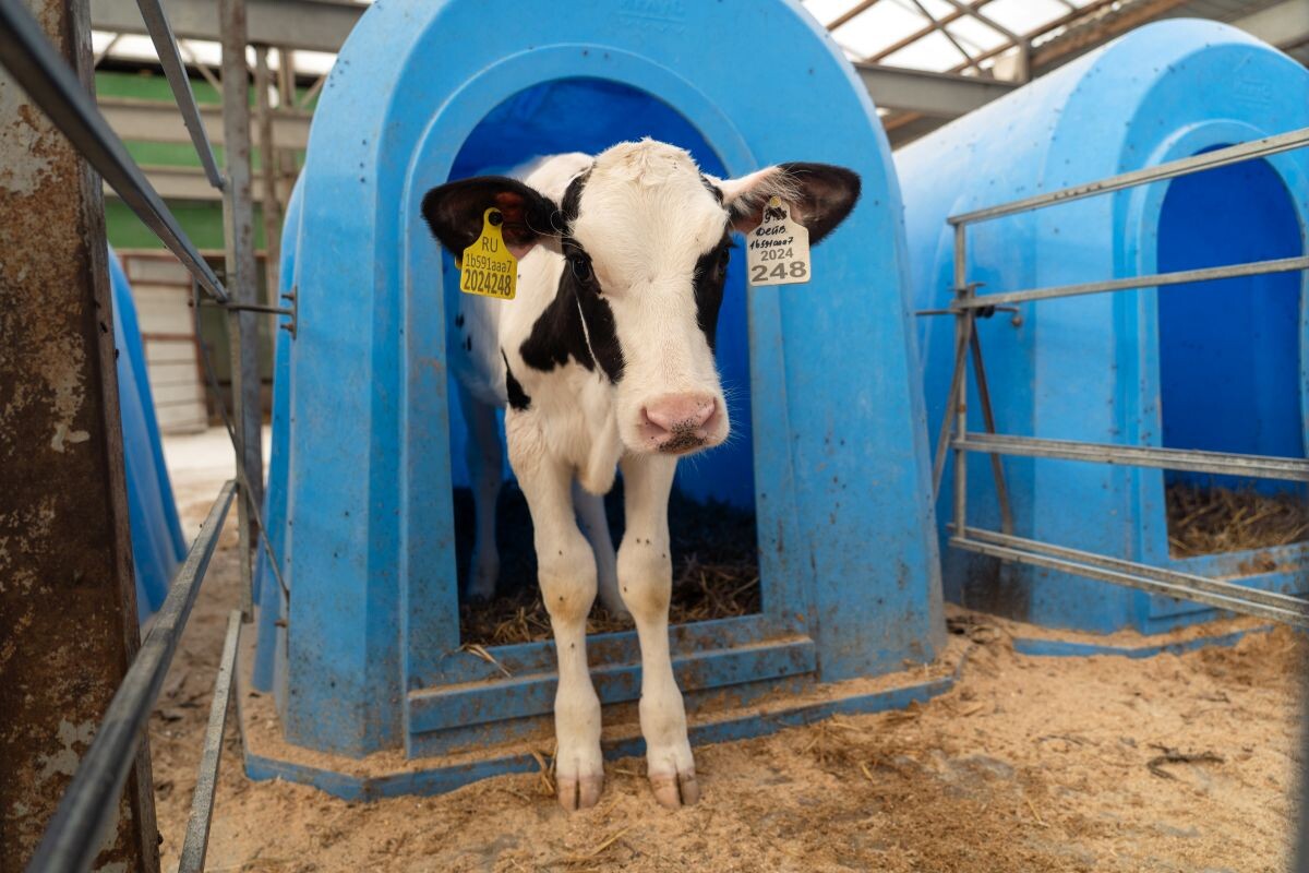 Фото: Александр Плонский / "Агроэксперт"