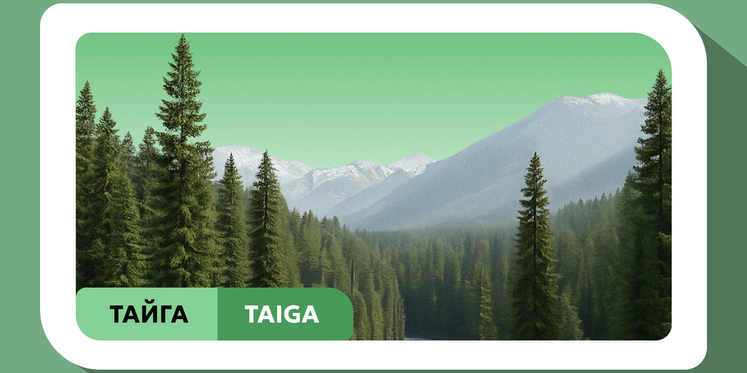 Русские слова на экспорт: ТАЙГА