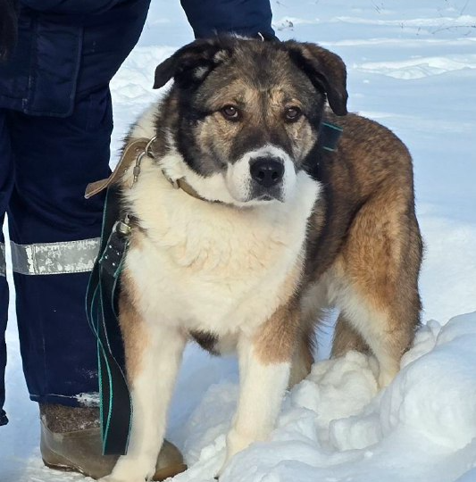 В поисках дома Берта❤️