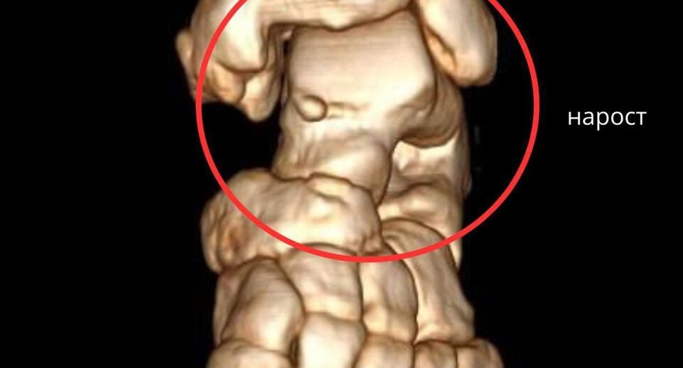    Пресс-служба Министерства здравоохранения Московской области