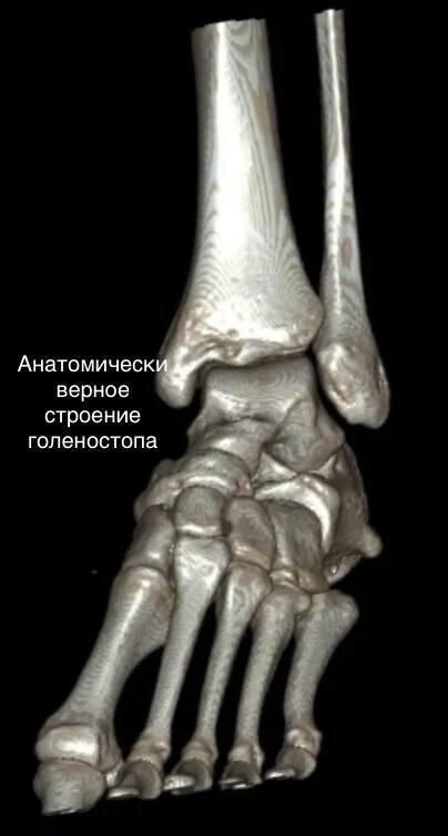    Пресс-служба Министерства здравоохранения Московской области