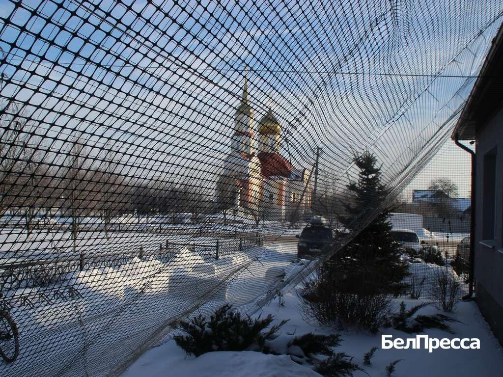     Фото: Елена Ховхун